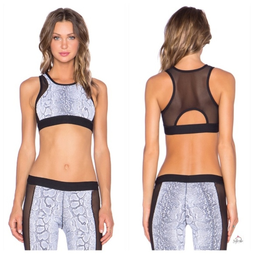 Planet Blue Blue Life Snake Print Mesh Sports Bra